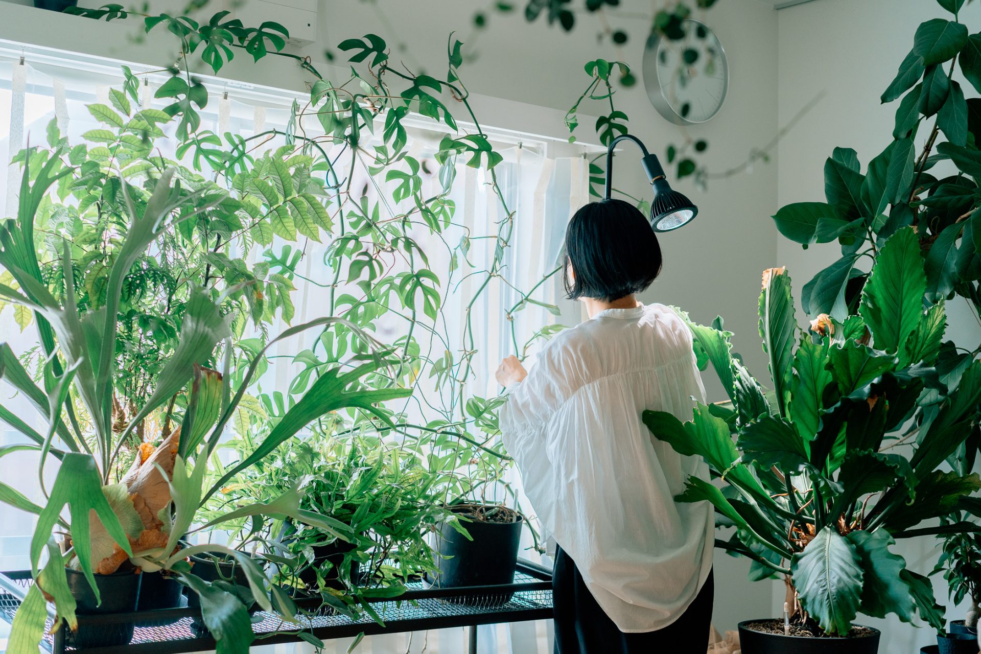 インテリアグリーン,整理収納アドバイザー,生方 悠,ieno textile