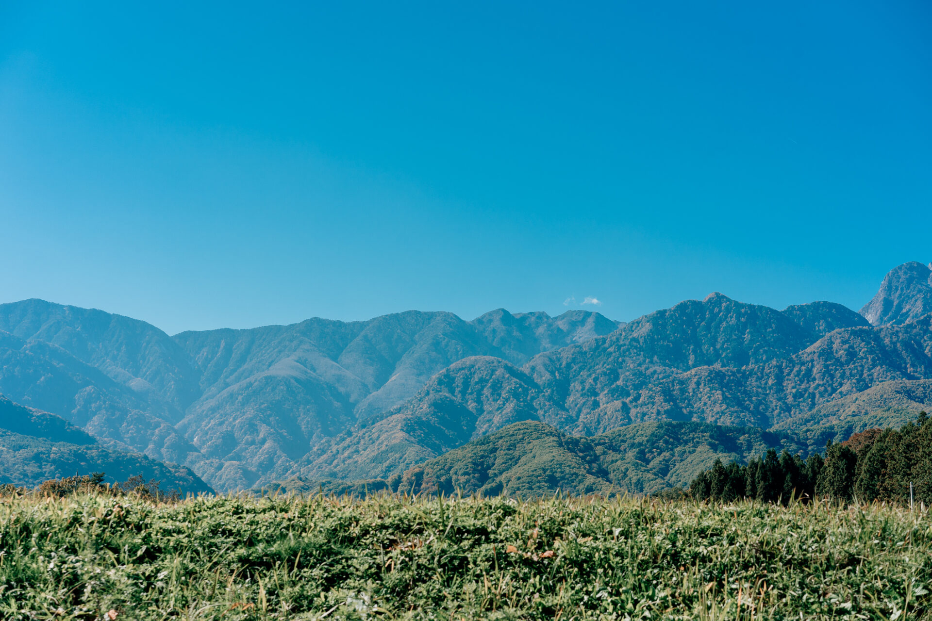 山梨県北杜市白州