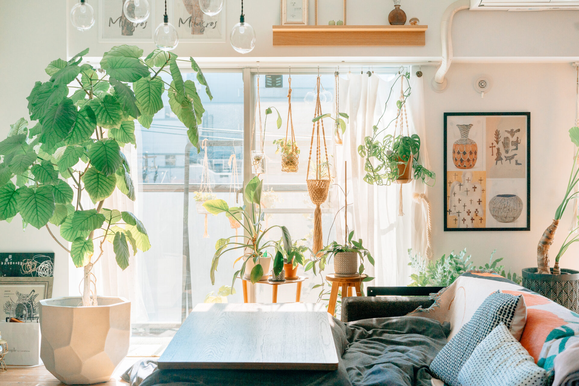 リネンカーテン、植物、カーテンクリップ