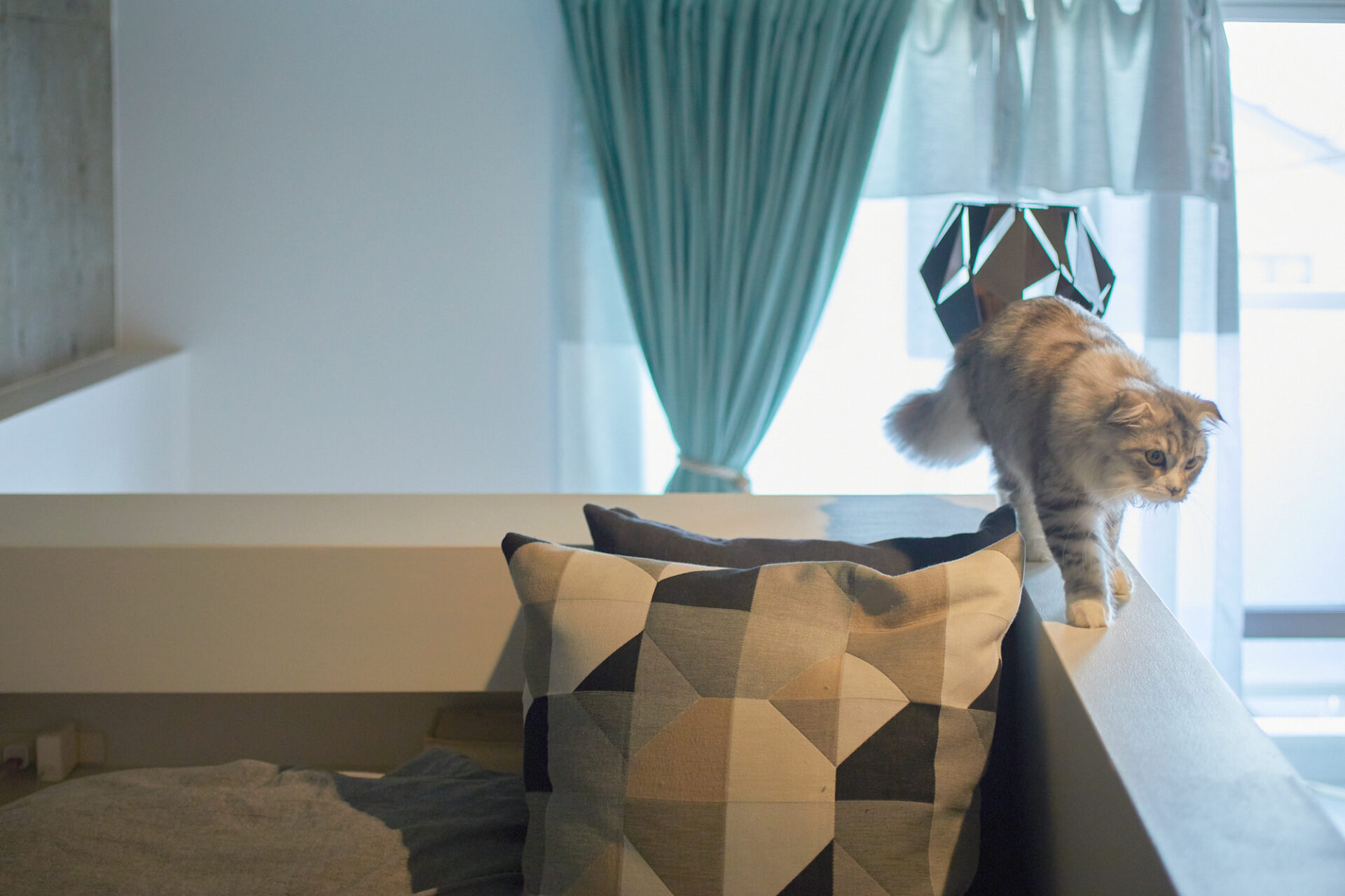 猫との暮らし、リネンカーテン