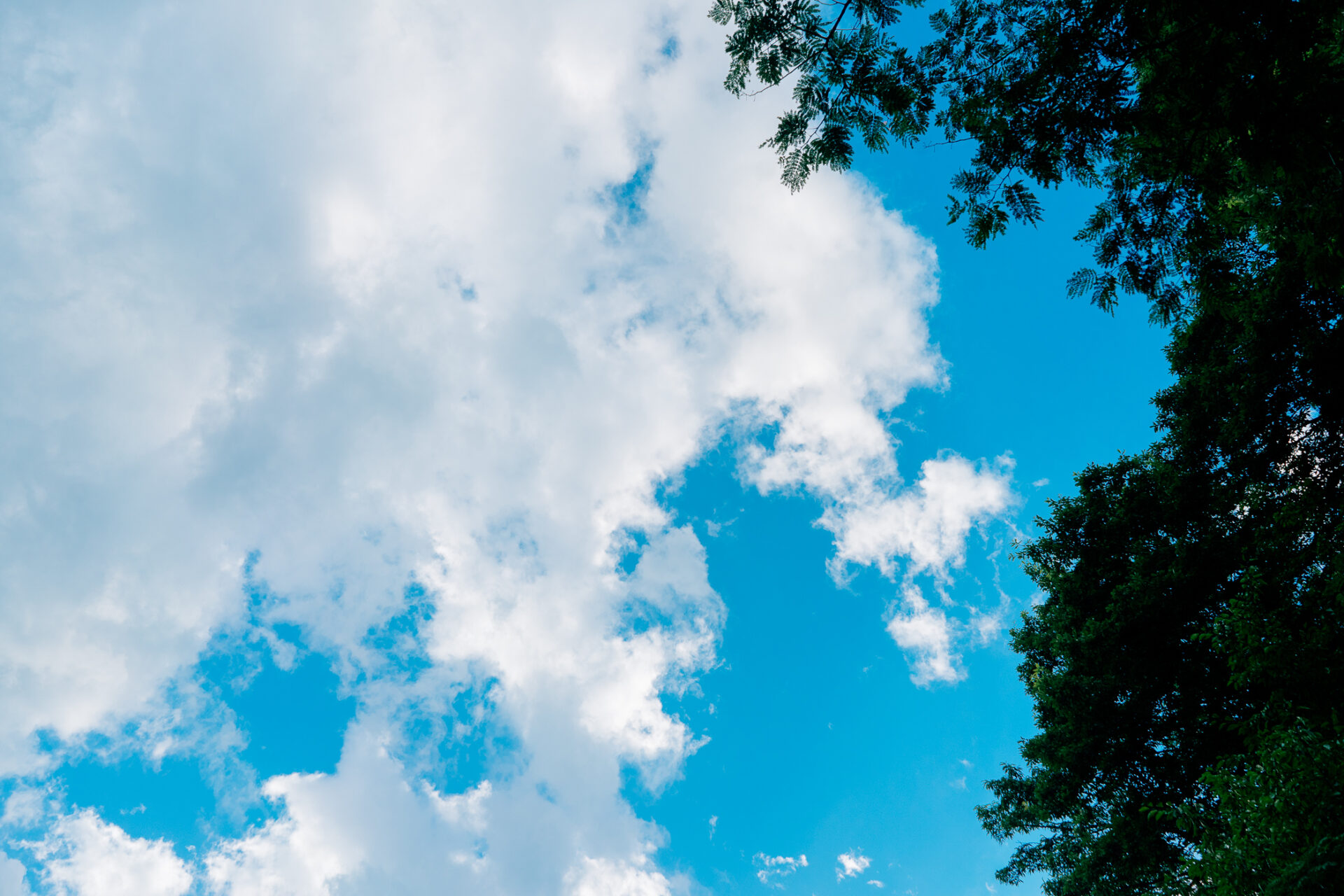 青空、ieno textile