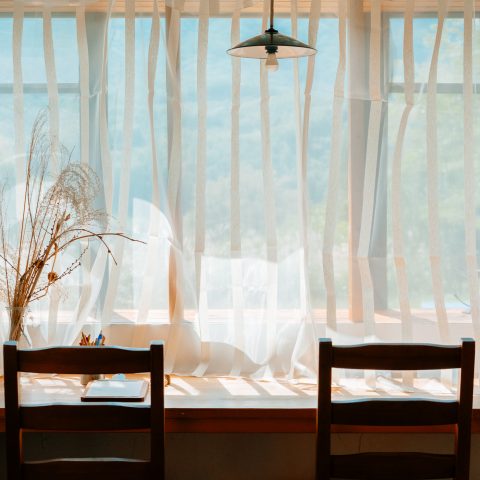 The abundance found in a small house that coexists with nature