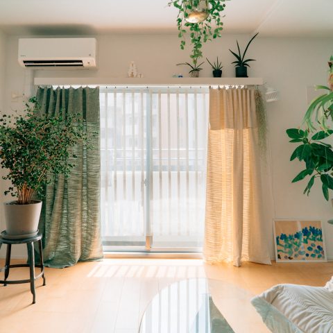 無機質の中に潤いを。植物が主役のインテリア。