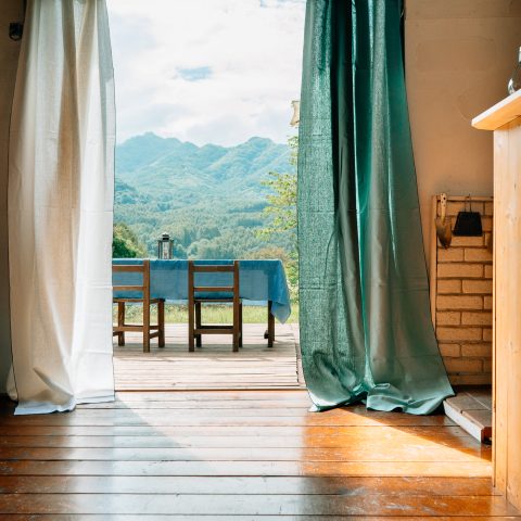 The abundance found in a small house that coexists with nature