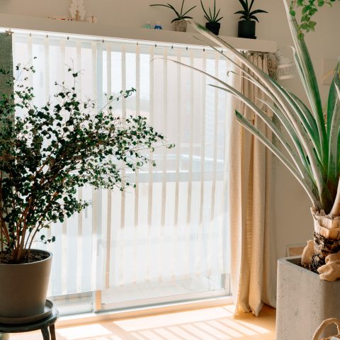無機質の中に潤いを。植物が主役のインテリア。
