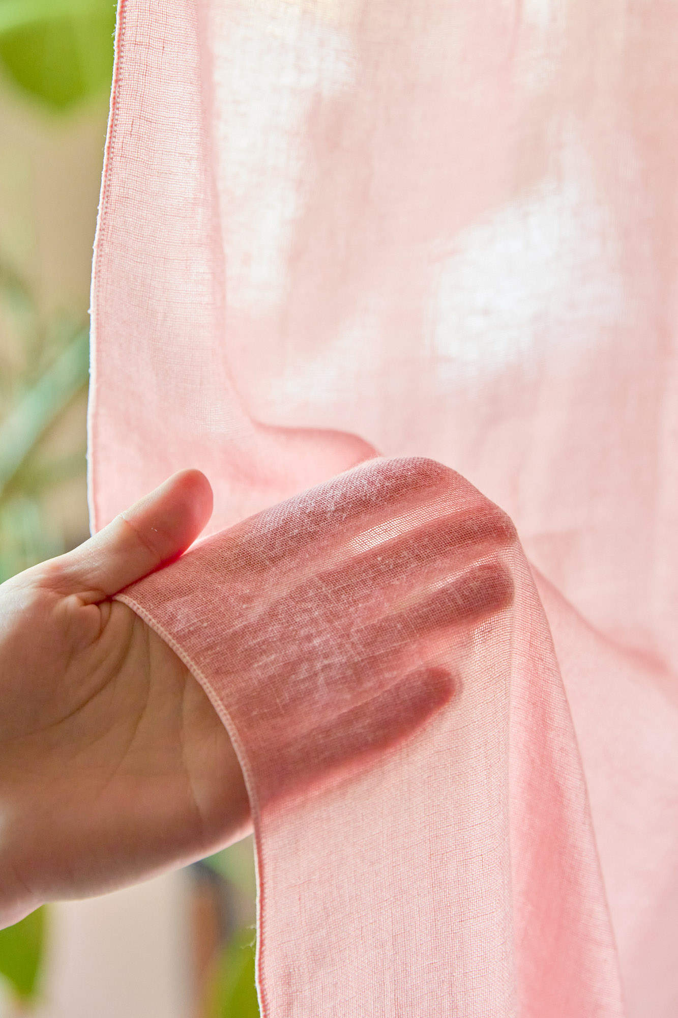 TOSS、ieno textile、ラワン材、カーテン、間仕切り